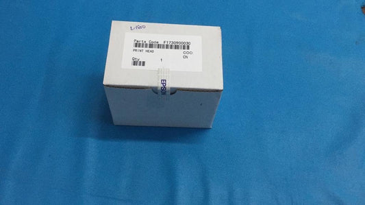 Print Head F180040 For Epson L800 L805 L810 L850 Printer
